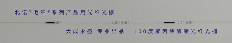 北诺100摄氏度毛细无缝钢管单端光纤光栅传感器（01型）FBG结构